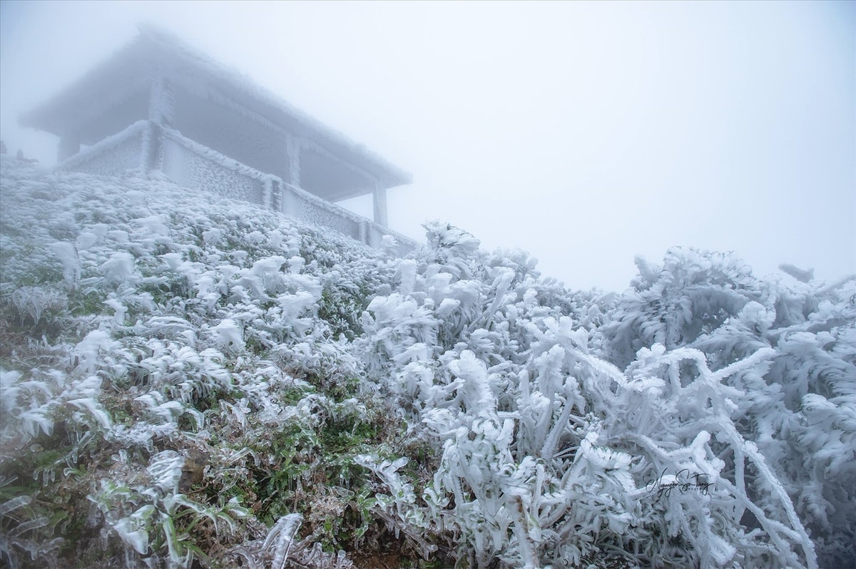 Mau Son is shrouded in mystery under fog and white snow